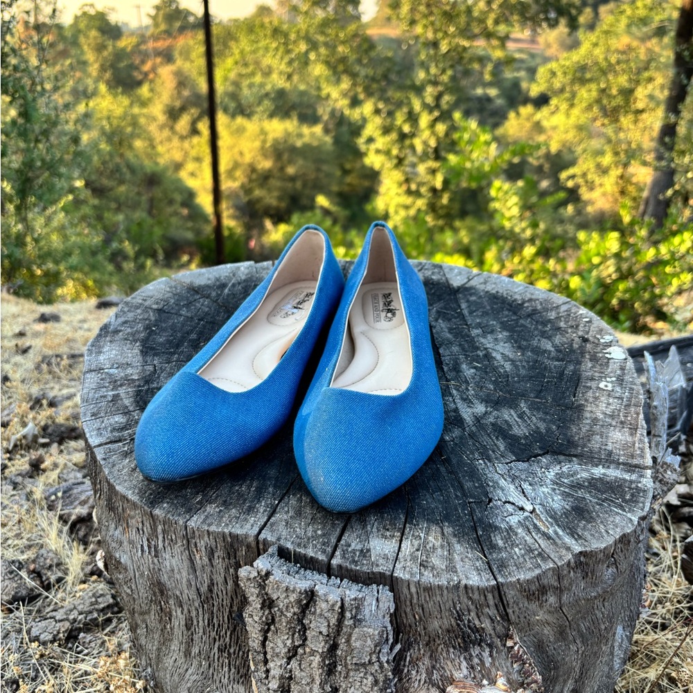Vintage Coach and Four Blue Suede Flats